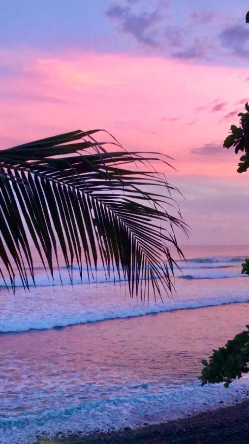 Laola Surf Camp El Sunzal Hotell La Libertad Eksteriør bilde